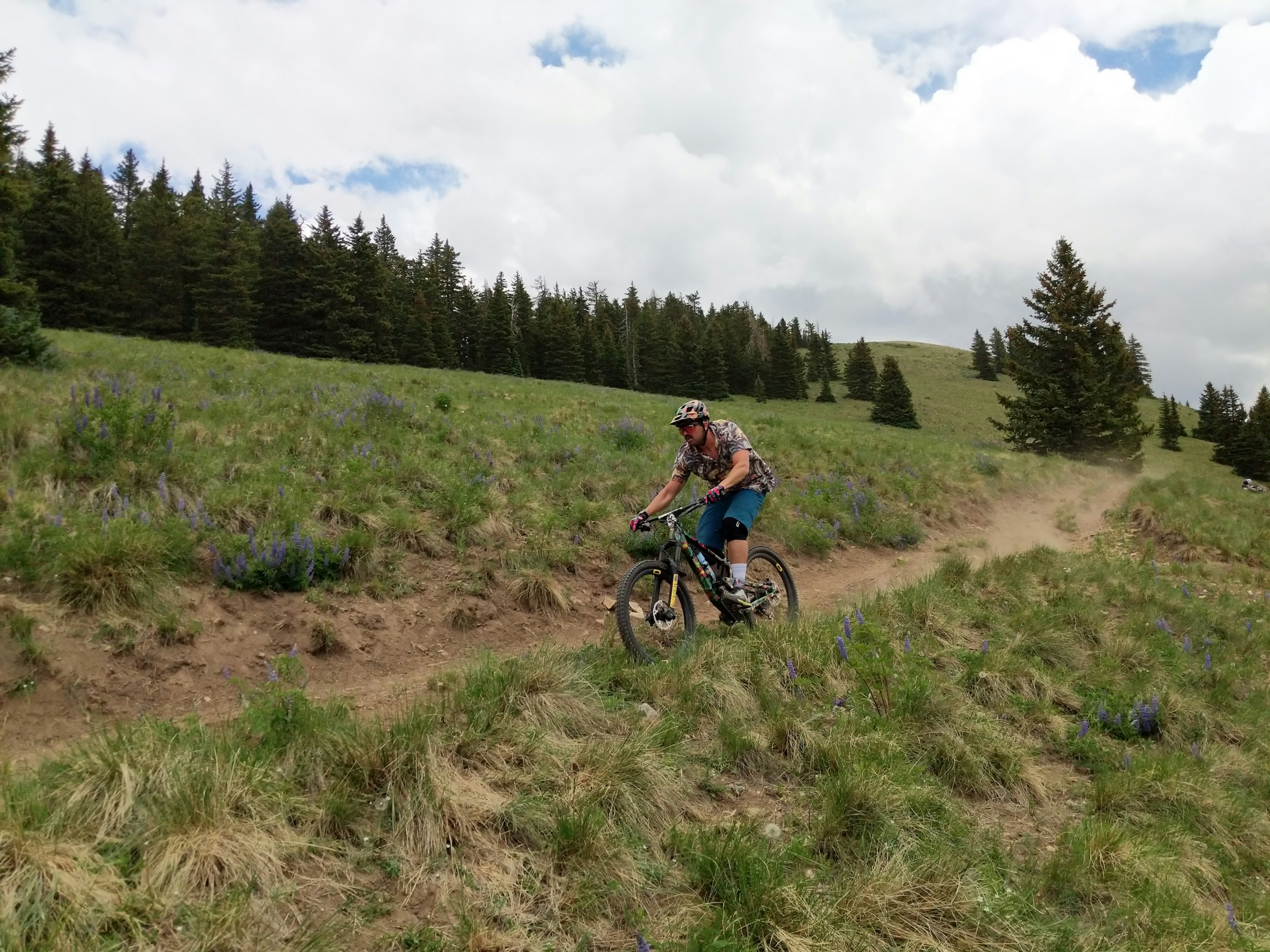 Mountain biker riding through an alpine meadow in Utah